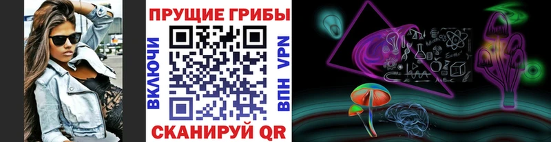 Купить закладки  Ирбит  Галлюциногенные грибы ЛСД 